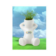 Enjoy Watching Grass Grow from the Grow Guy's Head - Seeds Included!